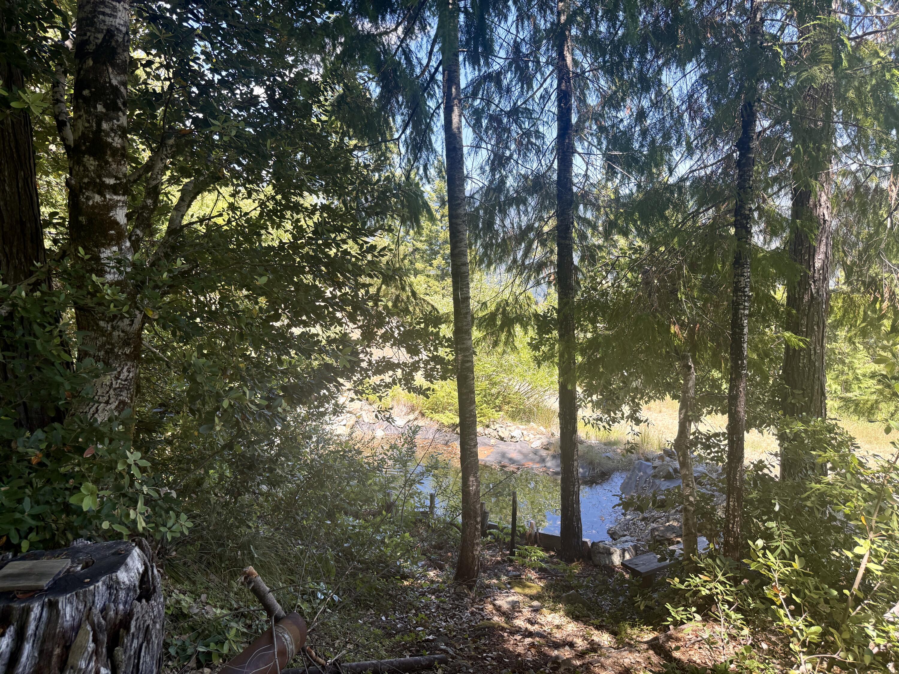 11000 Bluff Creek Trail