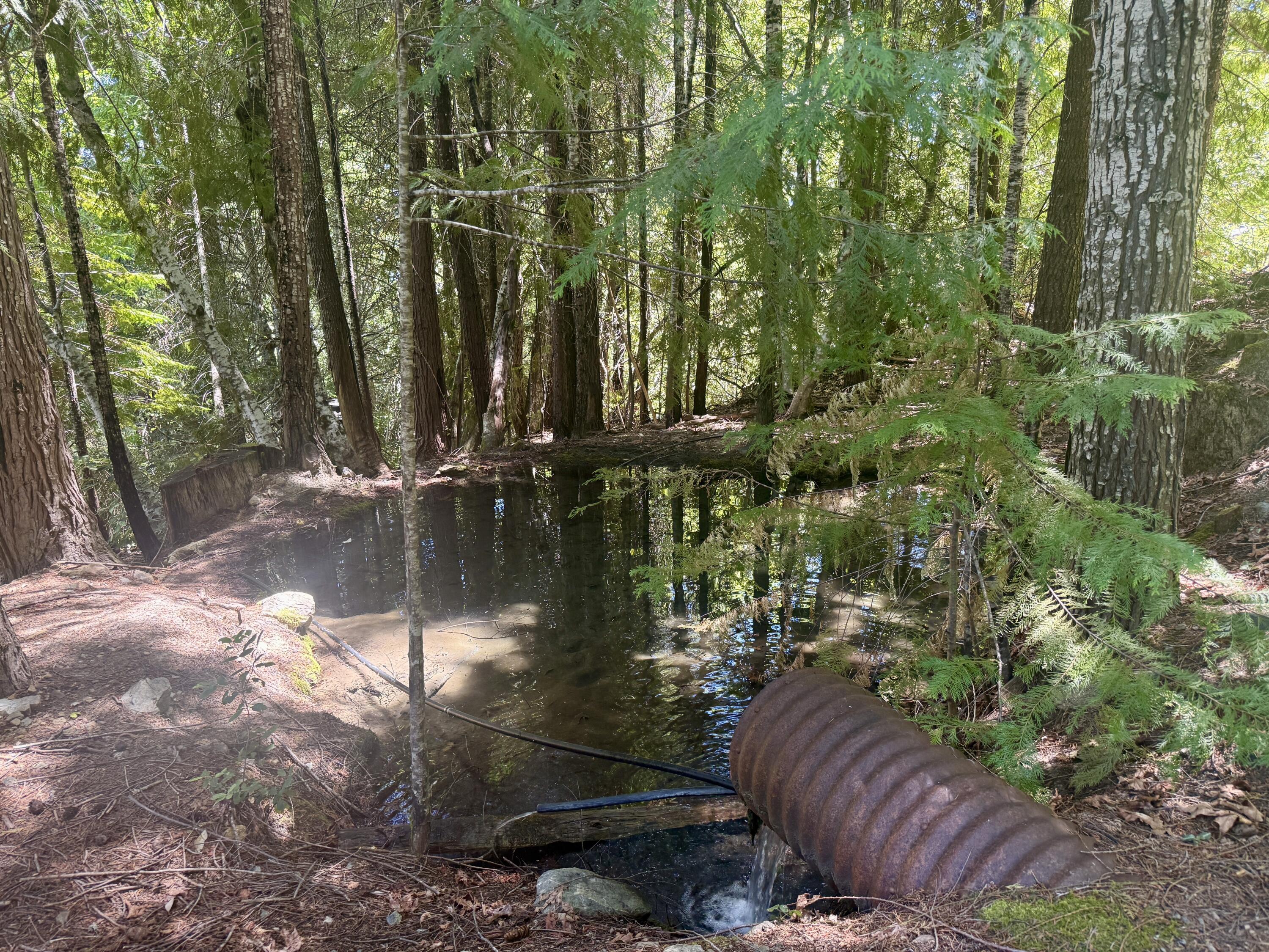 11000 Bluff Creek Trail