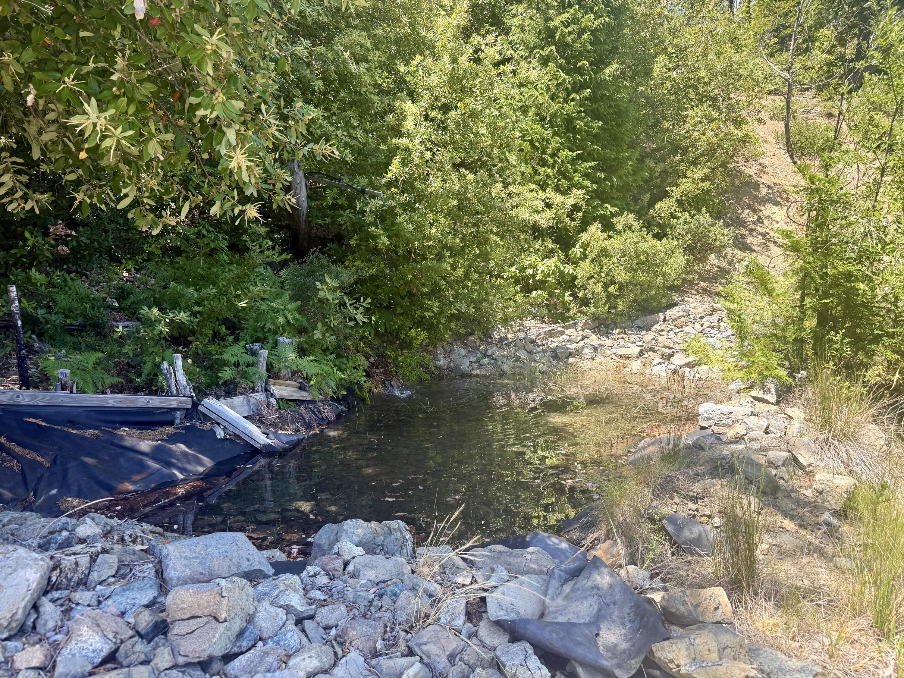 11000 Bluff Creek Trail