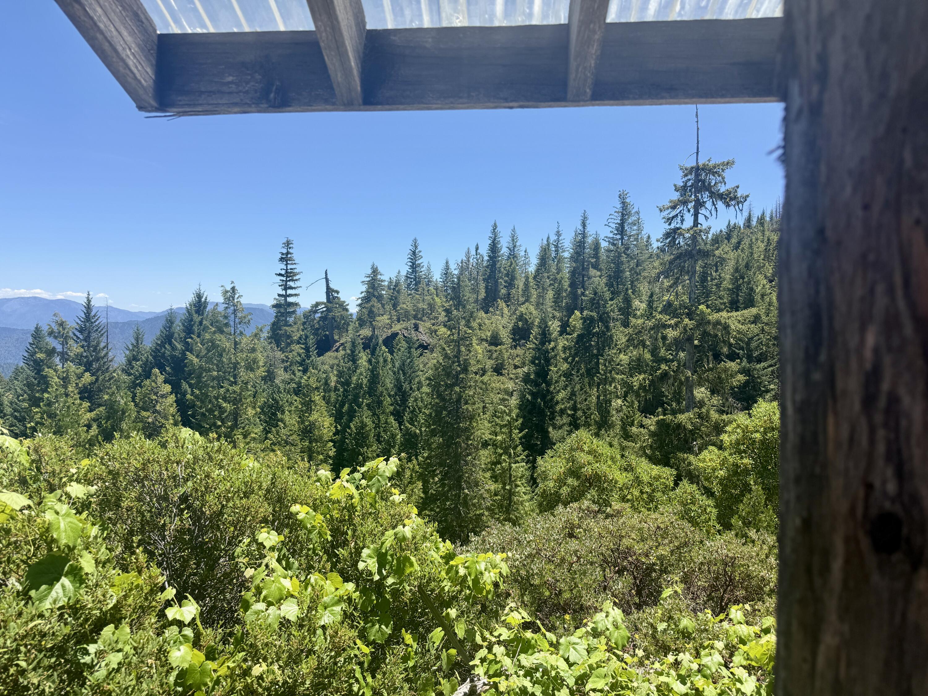 11000 Bluff Creek Trail