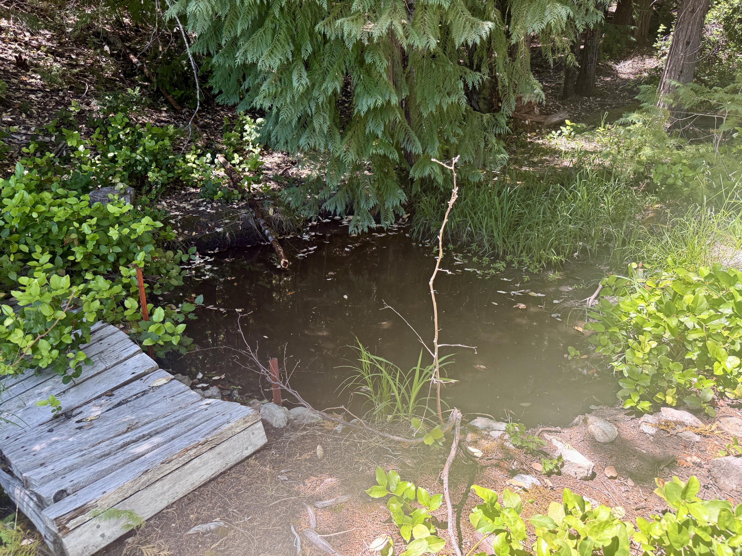 11000 Bluff Creek Trail