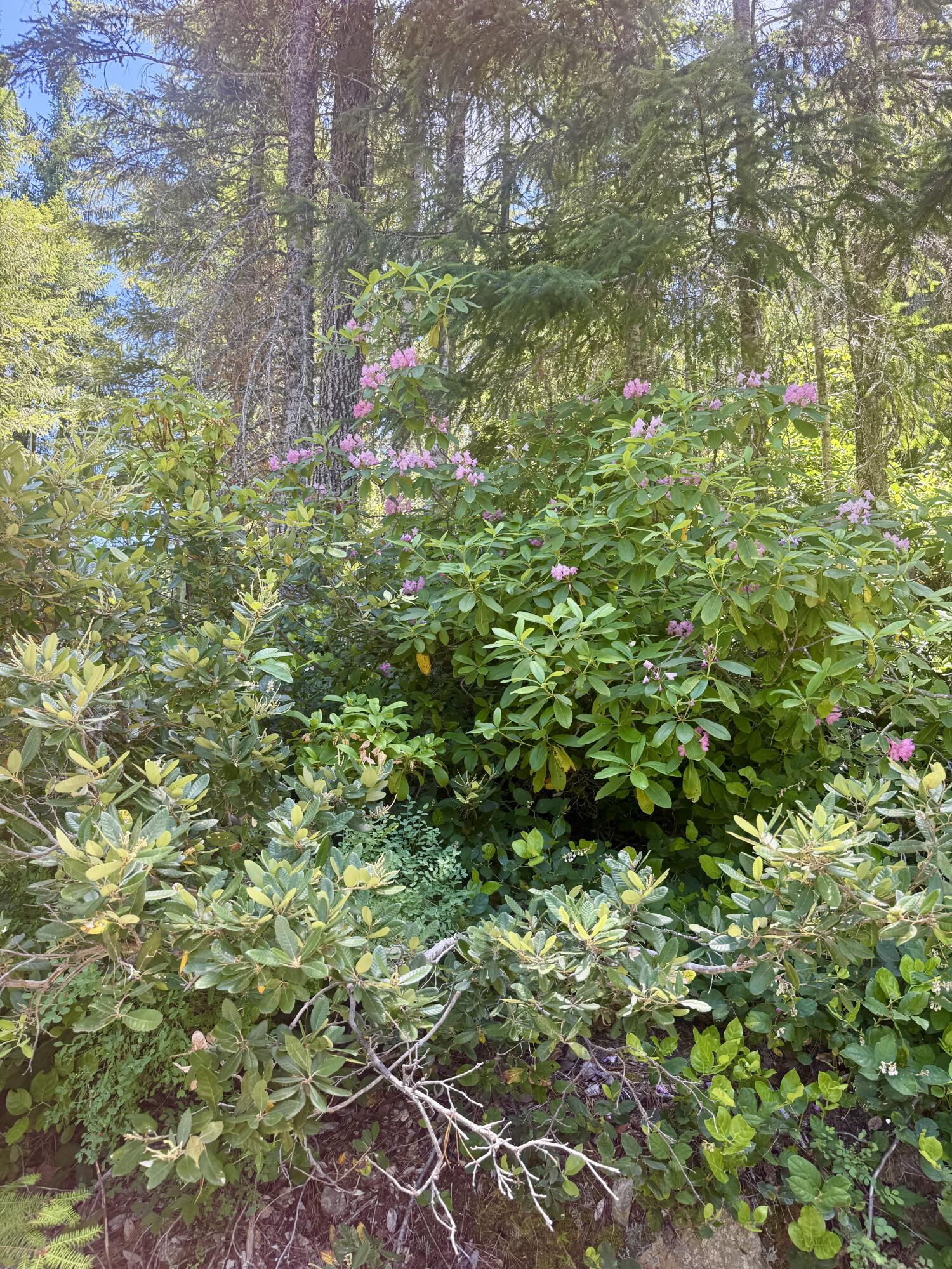 11000 Bluff Creek Trail