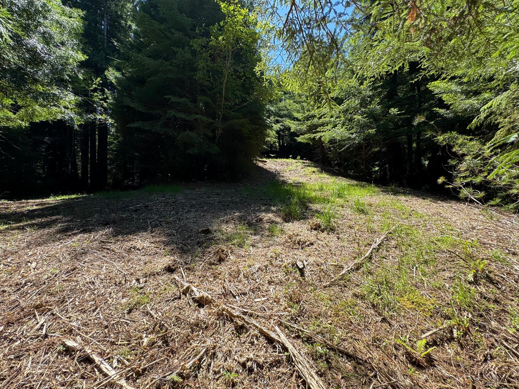 150 Tanglewood Drive