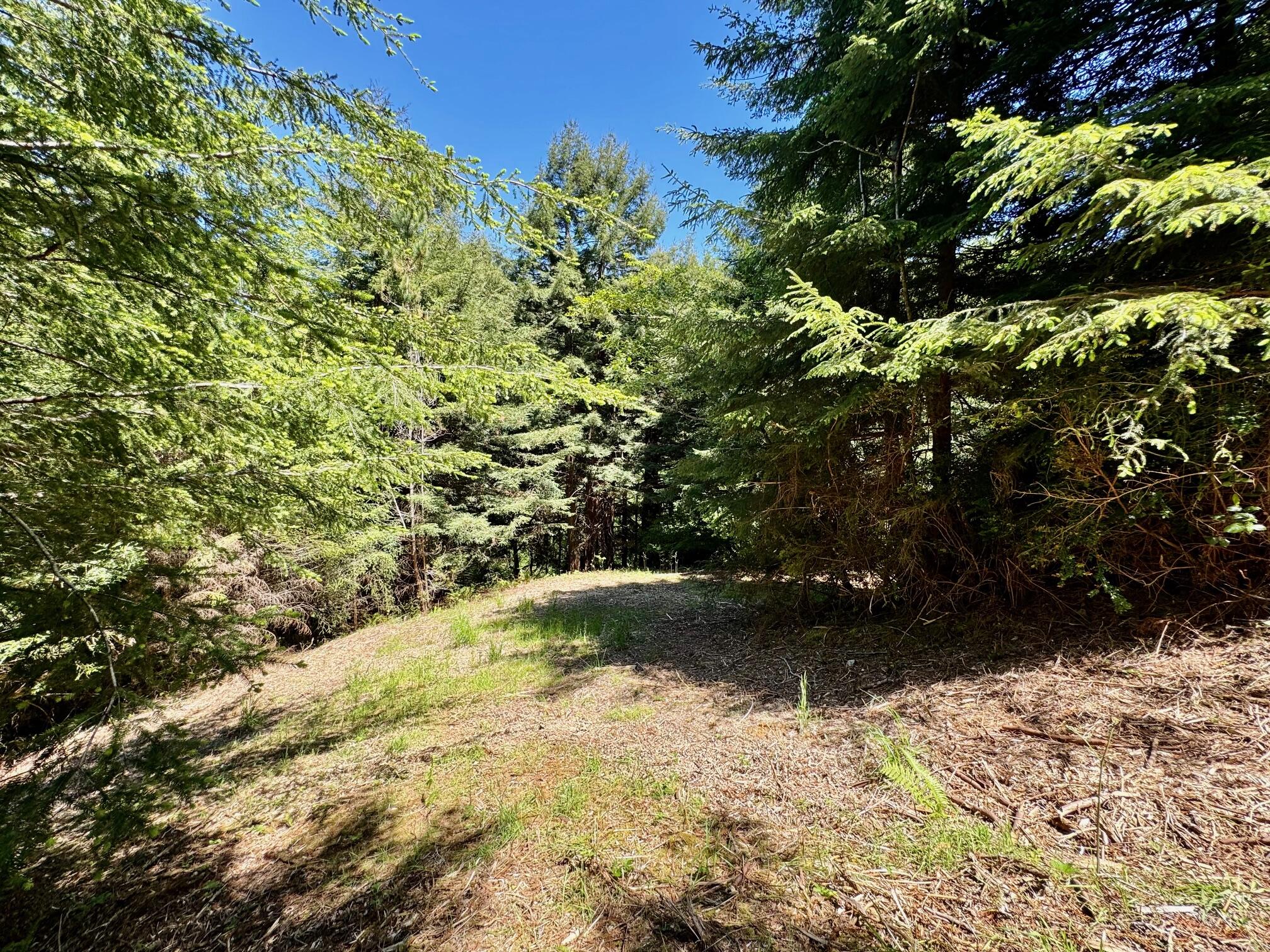 150 Tanglewood Drive