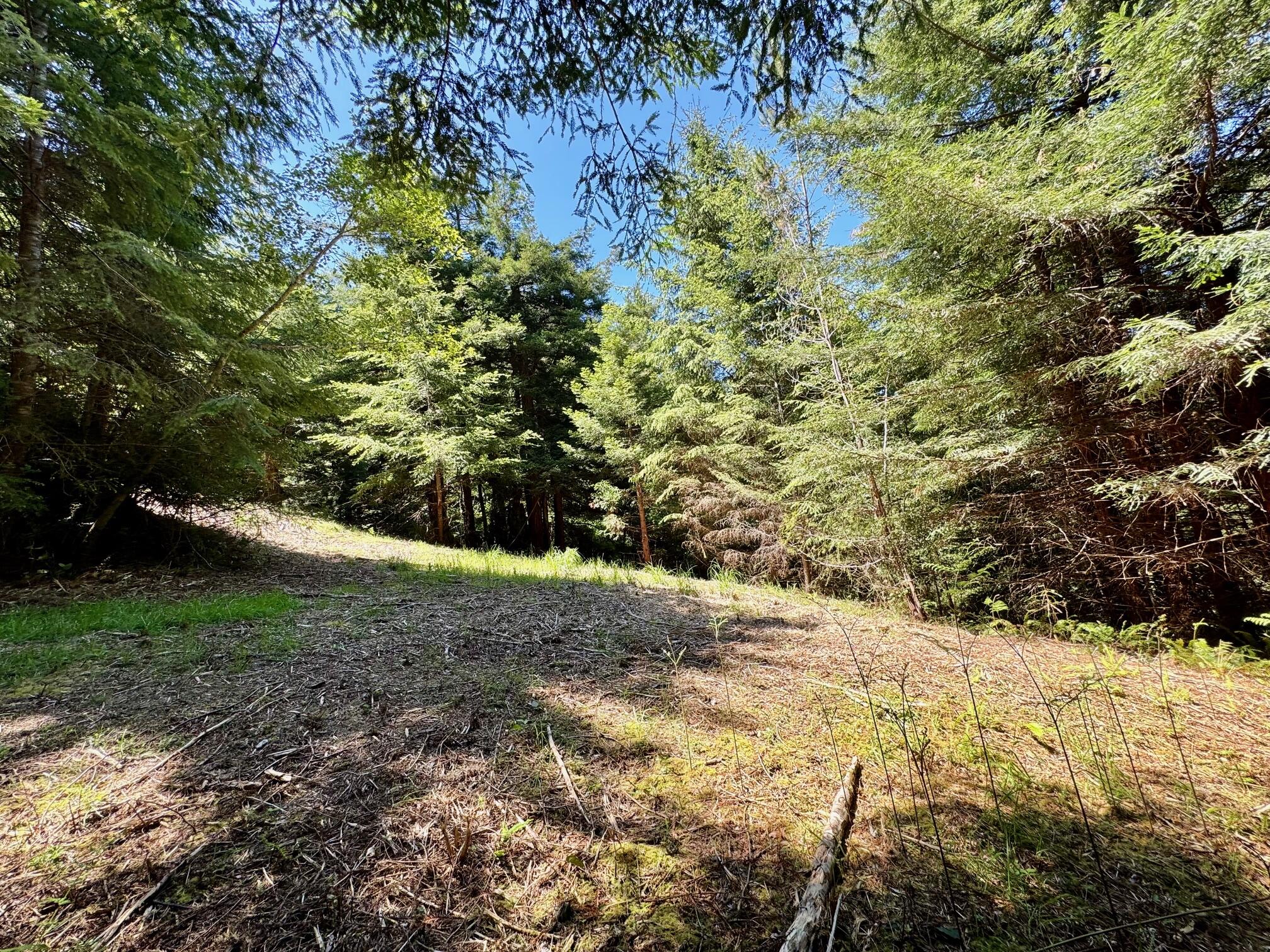 150 Tanglewood Drive