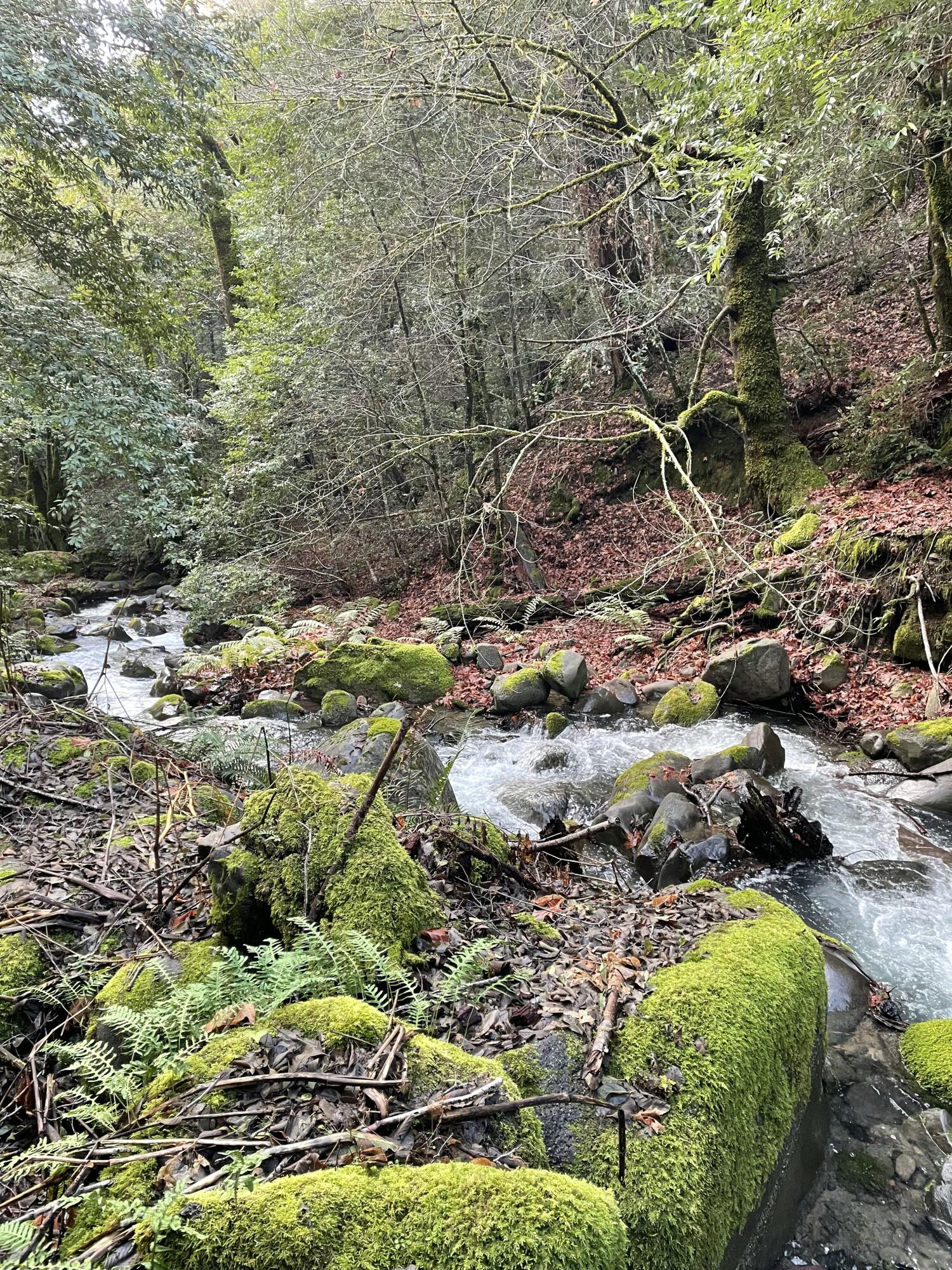 000 Mattole Road