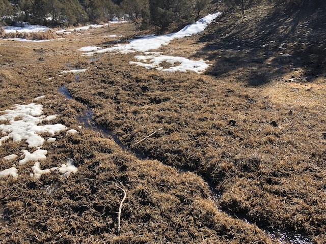7.97 Acres CR 300