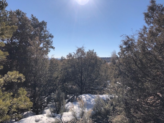 7.97 Acres CR 300