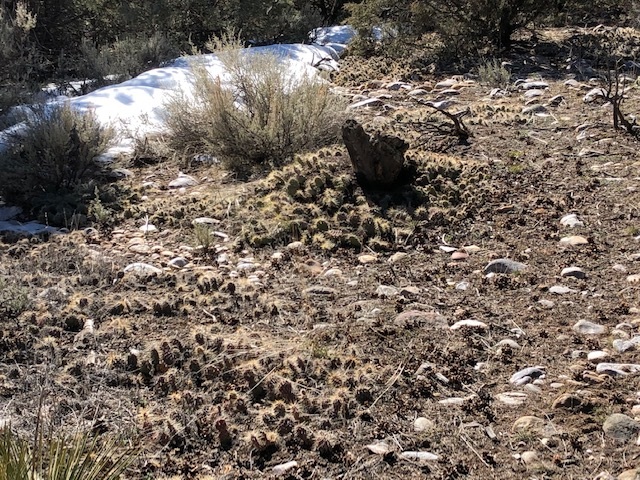 7.97 Acres CR 300