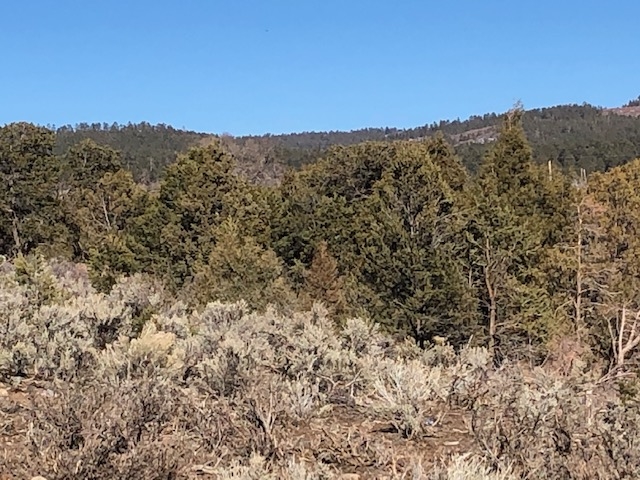 7.97 Acres CR 300