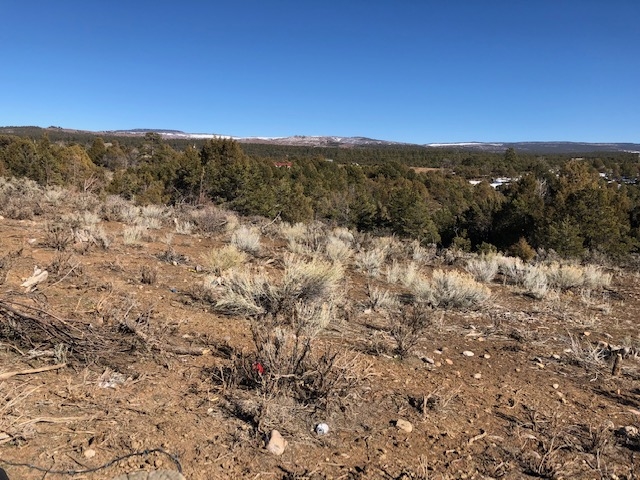 7.97 Acres CR 300