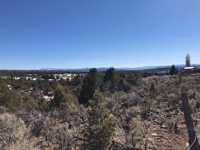 7.97 Acres CR 300