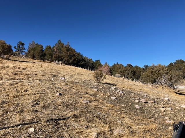 7.97 Acres CR 300