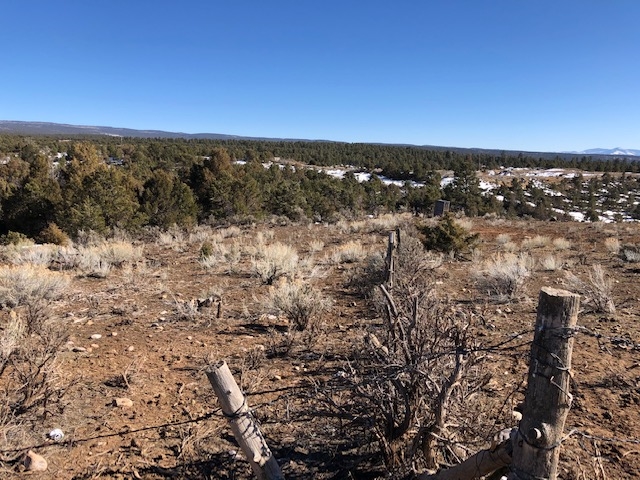 7.97 Acres CR 300