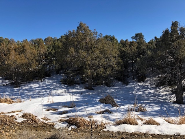 7.97 Acres CR 300