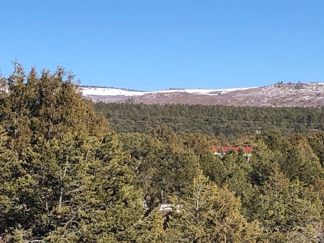 7.97 Acres CR 300
