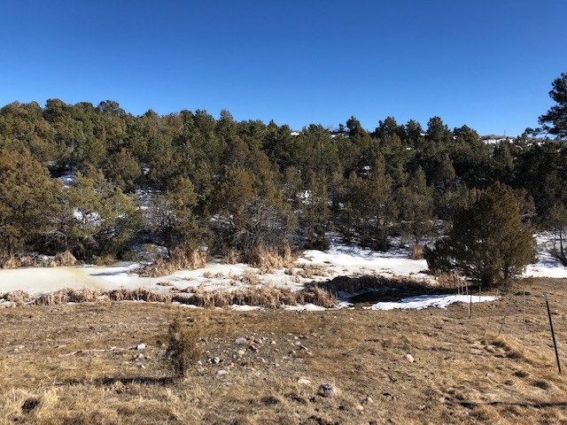 7.97 Acres CR 300