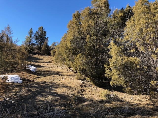 7.97 Acres CR 300
