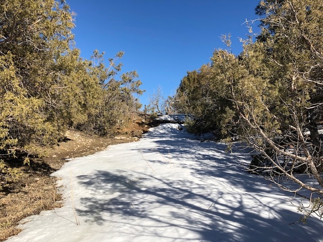 7.97 Acres CR 300