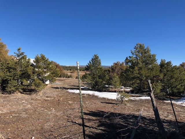 7.97 Acres CR 300