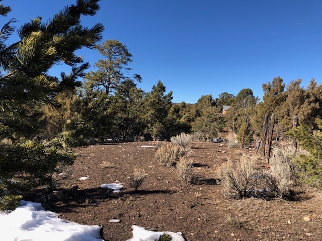 7.97 Acres CR 300