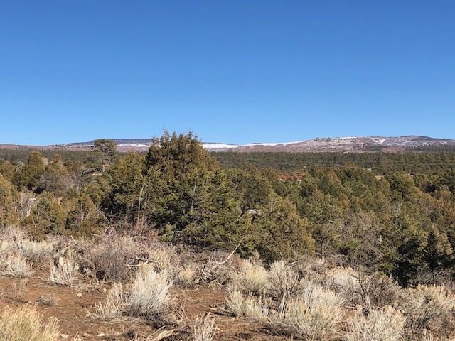 7.97 Acres CR 300