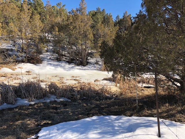7.97 Acres CR 300