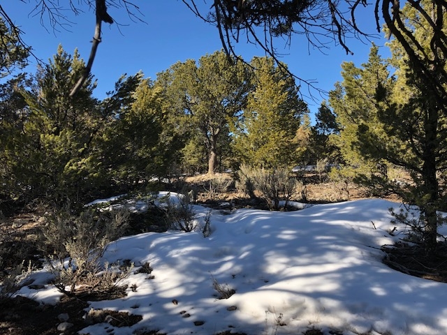 7.97 Acres CR 300