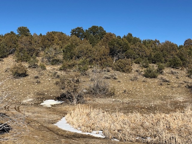 7.97 Acres CR 300