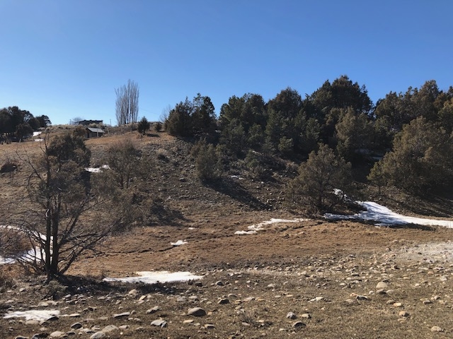 7.97 Acres CR 300