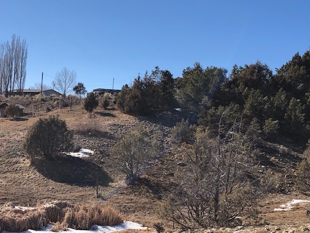 7.97 Acres CR 300