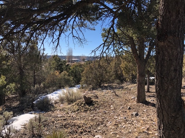 7.97 Acres CR 300