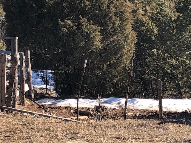 7.97 Acres CR 300