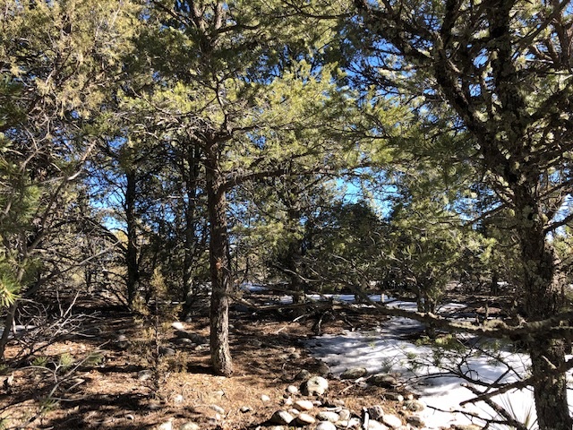 7.97 Acres CR 300