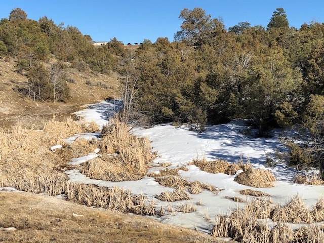 7.97 Acres CR 300