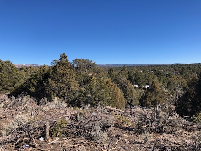 7.97 Acres CR 300