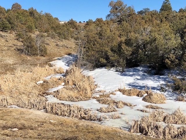 7.97 Acres CR 300