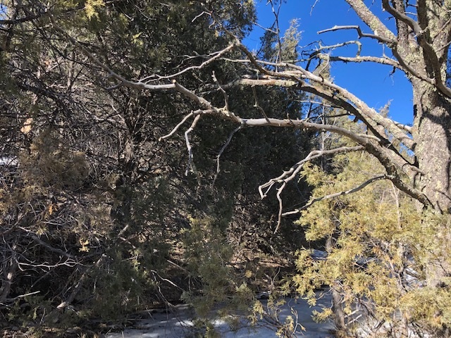 7.97 Acres CR 300