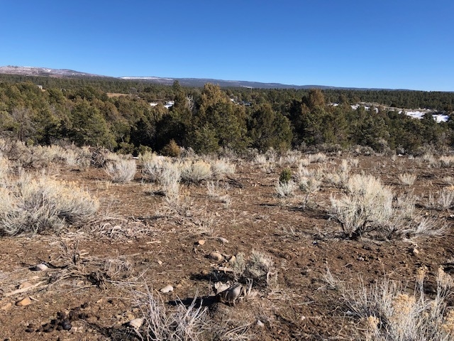 7.97 Acres CR 300