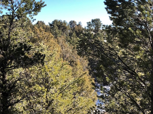 7.97 Acres CR 300