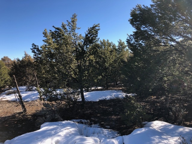 7.97 Acres CR 300