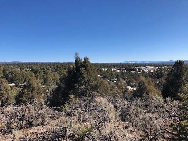 7.97 Acres CR 300