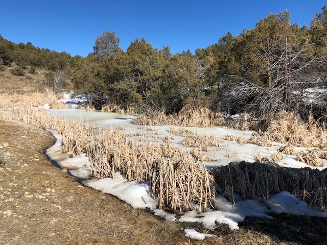 7.97 Acres CR 300