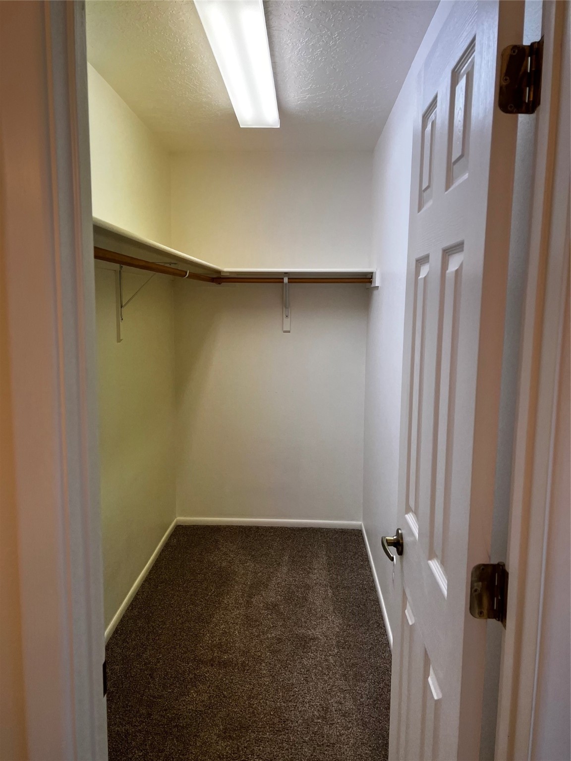 Empty walk-in closet with a wooden hanging rod, shelf, and brown carpet.