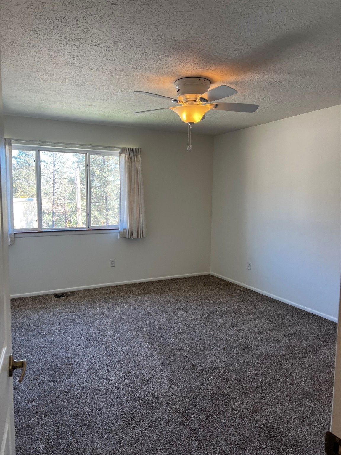 Empty bedroom with gray carpet, a ceiling fan, and a window overlooking trees.