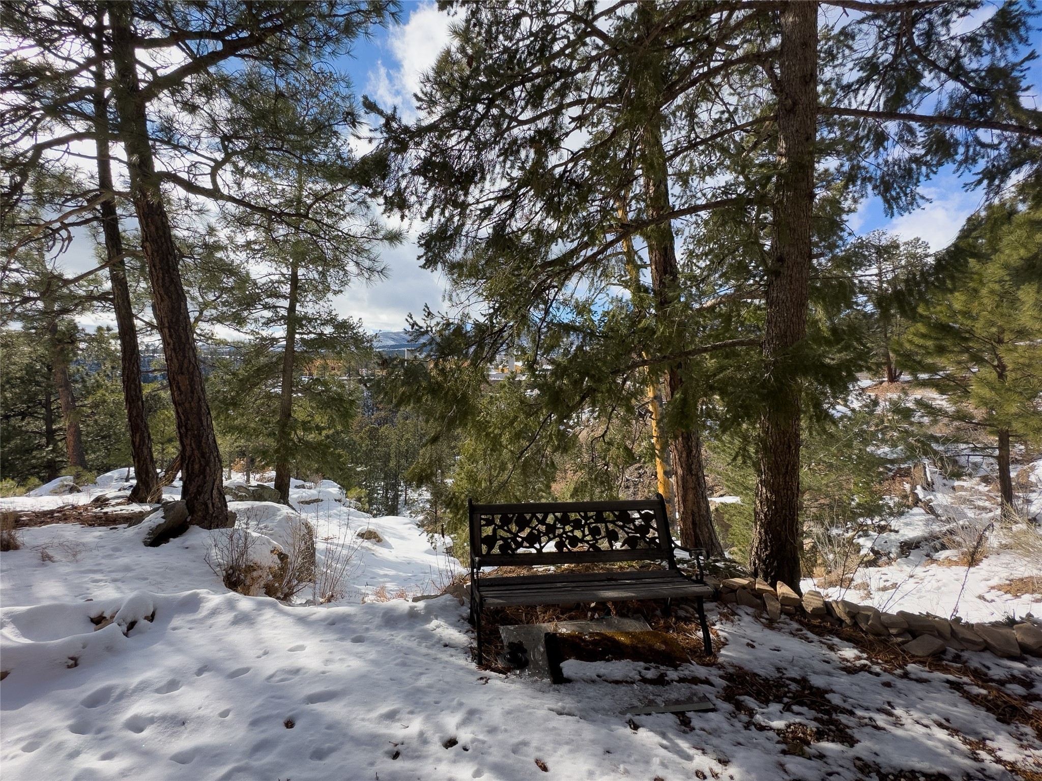 Snowy wooded yard with a black bench and distant mountain views.
