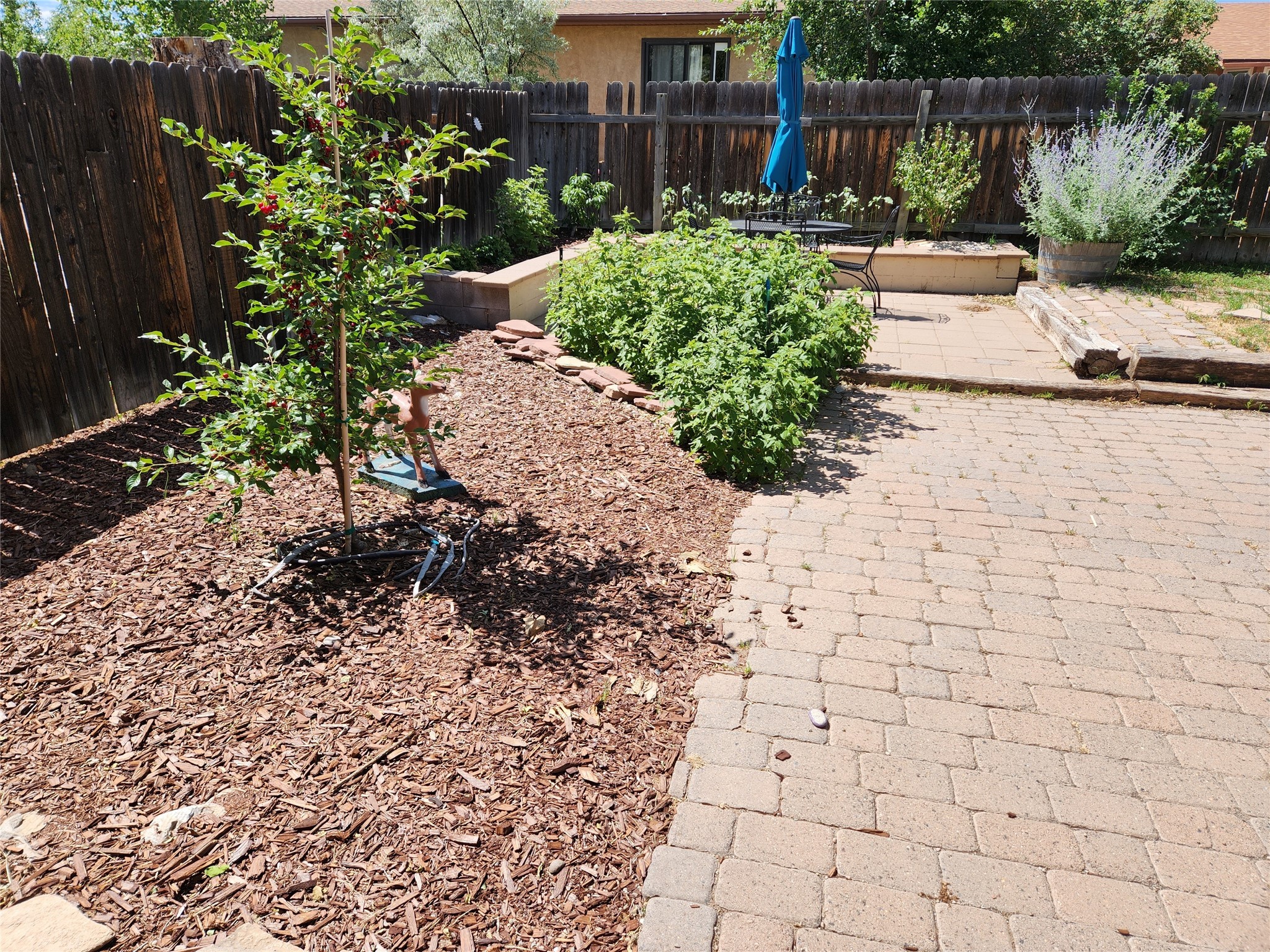 Fenced backyard patio with pavers, mulched garden beds, shrubs, and outdoor seating.