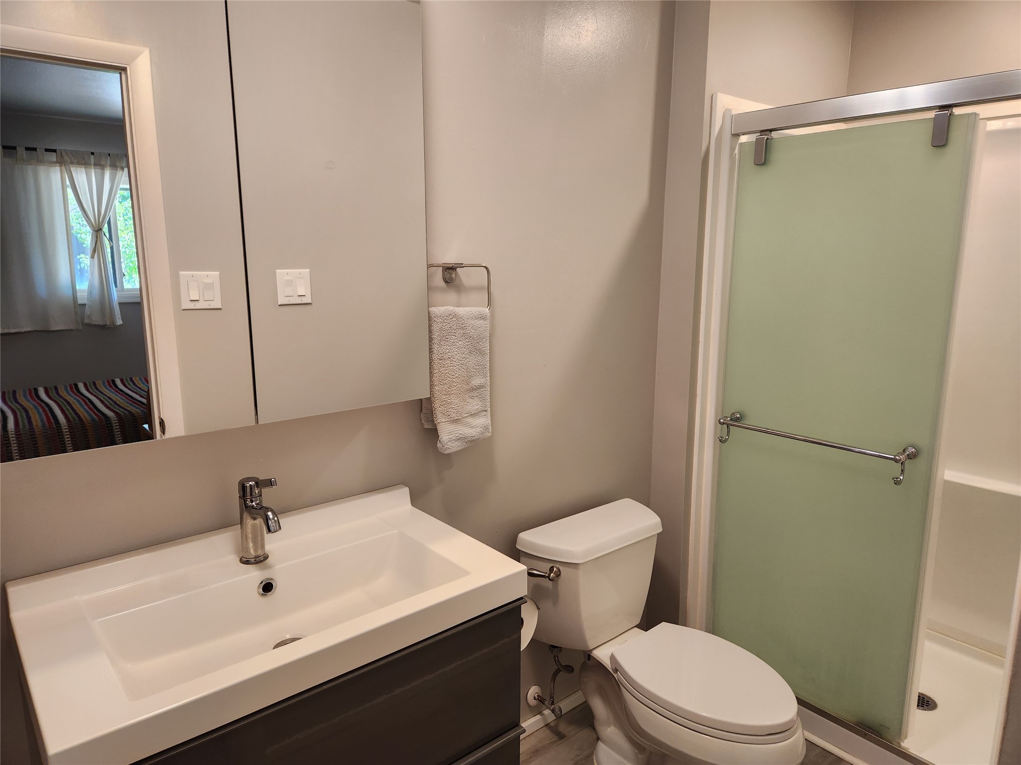 Bathroom with a white vanity, toilet, and frosted green sliding shower door.
