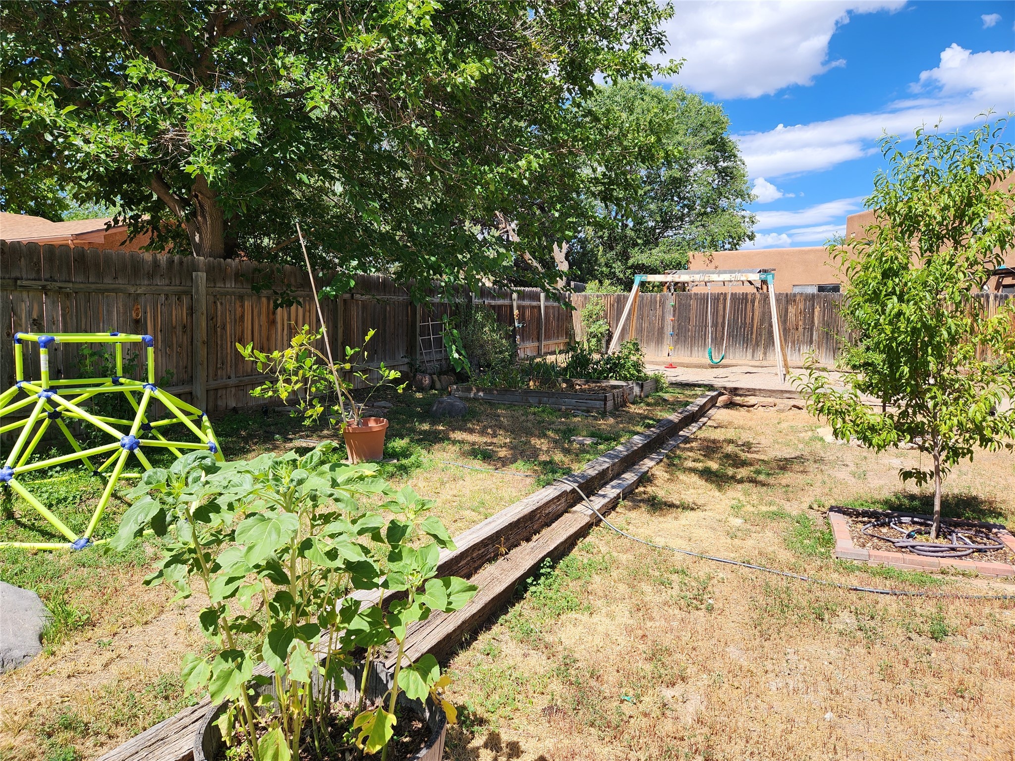 Backyard with raised garden beds, a swing set, and a climbing dome beneath mature trees.
