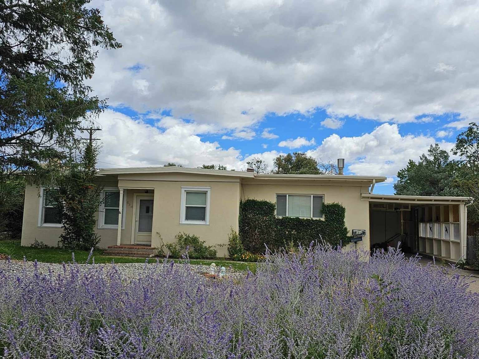 Single-story beige home with an attached carport, fronted by blooming purple flowers.